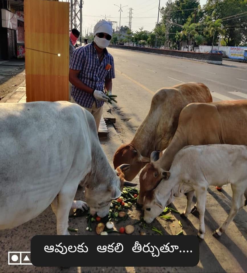 kota_shyam kumar independent candidate services